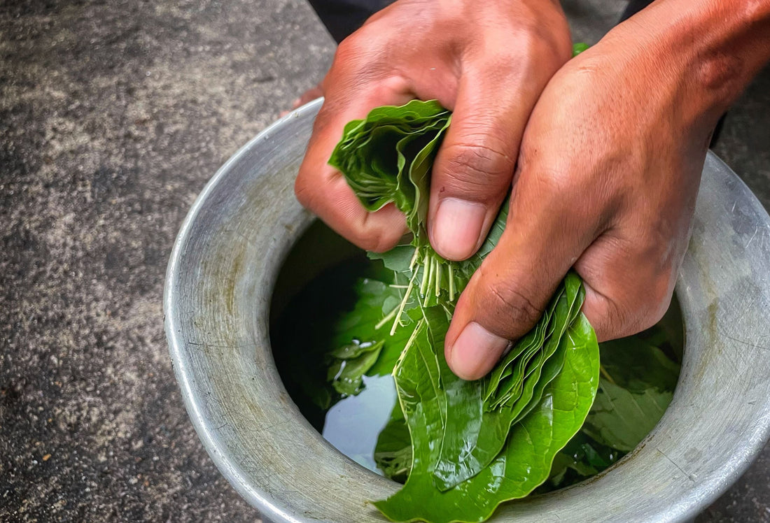 Kratom Shelf Life: How Long Does Kratom Stay Fresh?