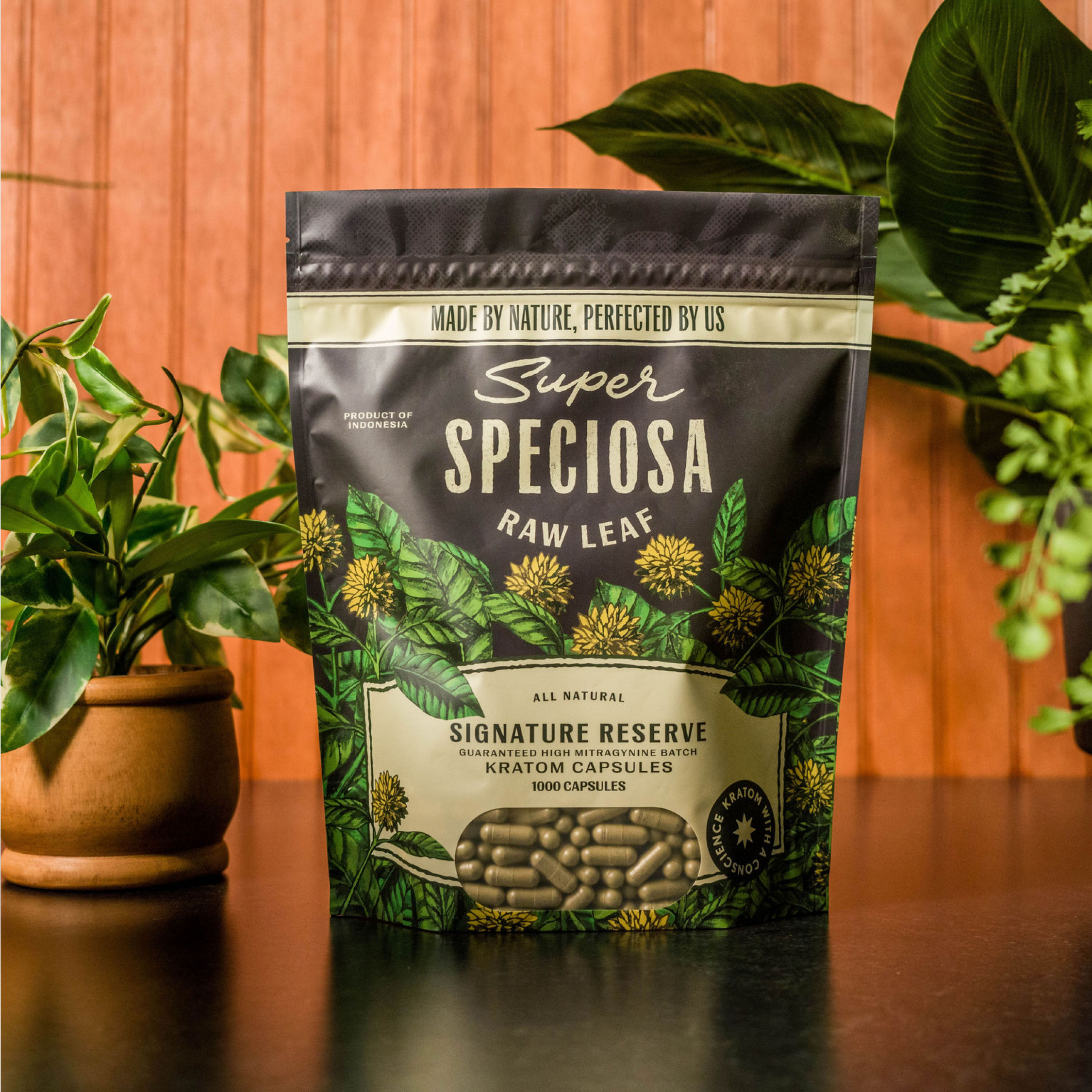 se-naaaaa リギダ500粒、トンプソニアーナ100粒 Signature Reserve Kratom Capsules | 1.5%+ MIT | Kratom Country