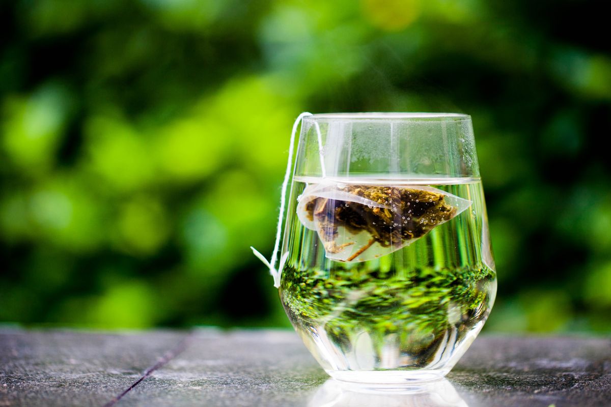 Exploring 6 Tasty Alternatives to Green Tea