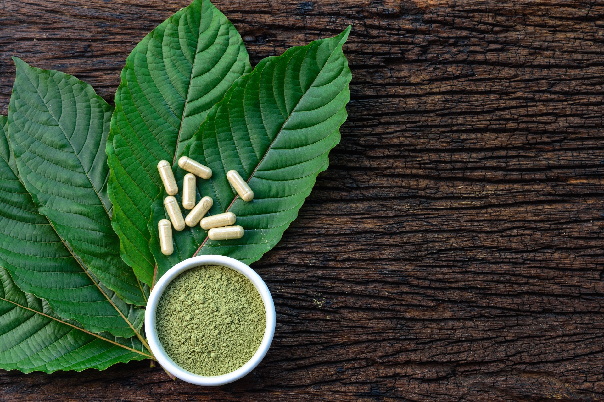 Storing Kratom The Ultimate Guide Kratom Country